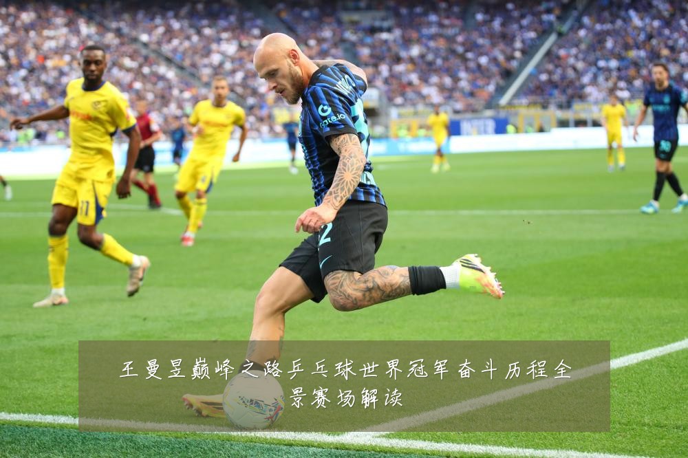 王曼昱巅峰之路乒乓球世界冠军奋斗历程全景赛场解读