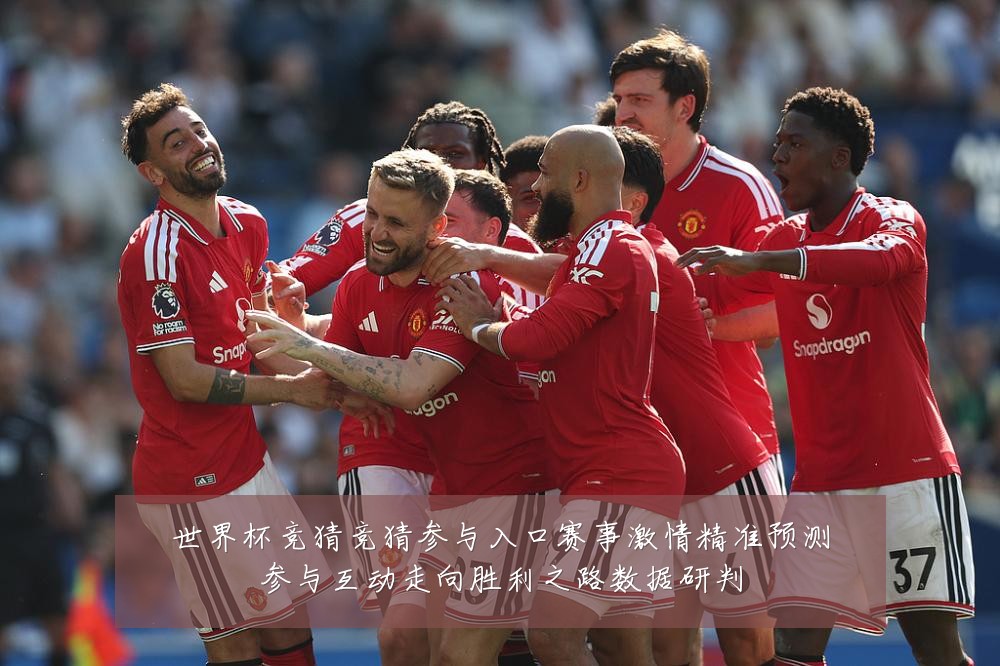 世界杯竞猜竞猜参与入口赛事激情精准预测参与互动走向胜利之路数据研判